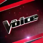 The Voice Season 22 Coaches & Host Salary