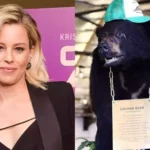 Cocaine Bear Cast And Their Salary