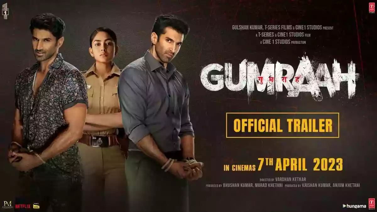 Gumraah Cast And Their Salary