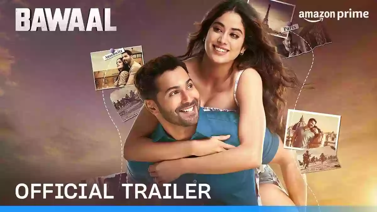 Bawaal Cast And Their Salary